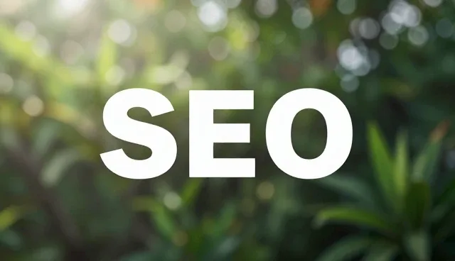 SEO优化服务适用情况及处理建议